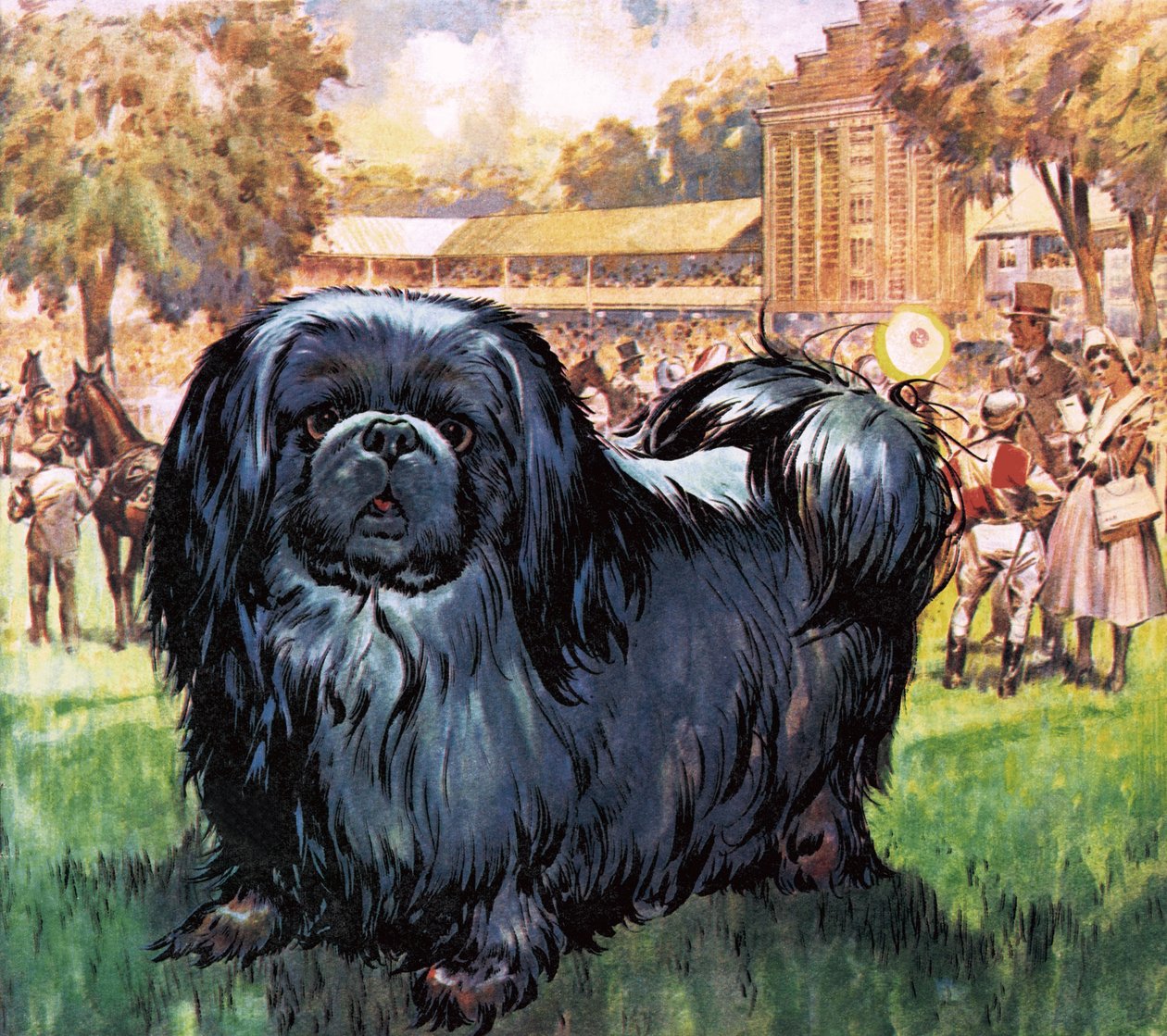 Musta ritari. Taiteilija Sir Alfred Munningsin omistama pekinkoira. tekijältä James Edwin McConnell
