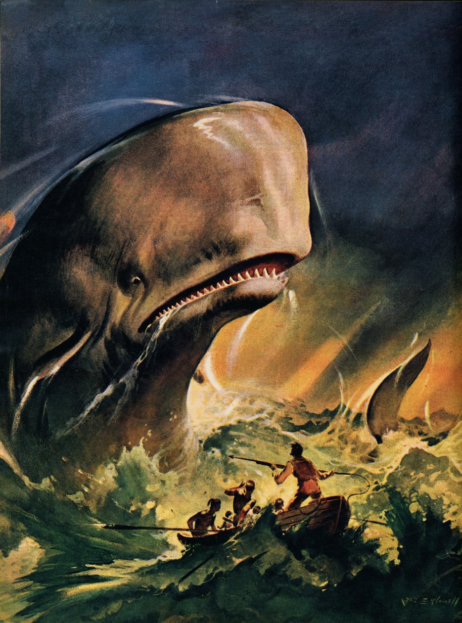 Moby Dick (värillinen litografia) tekijältä James Edwin McConnell