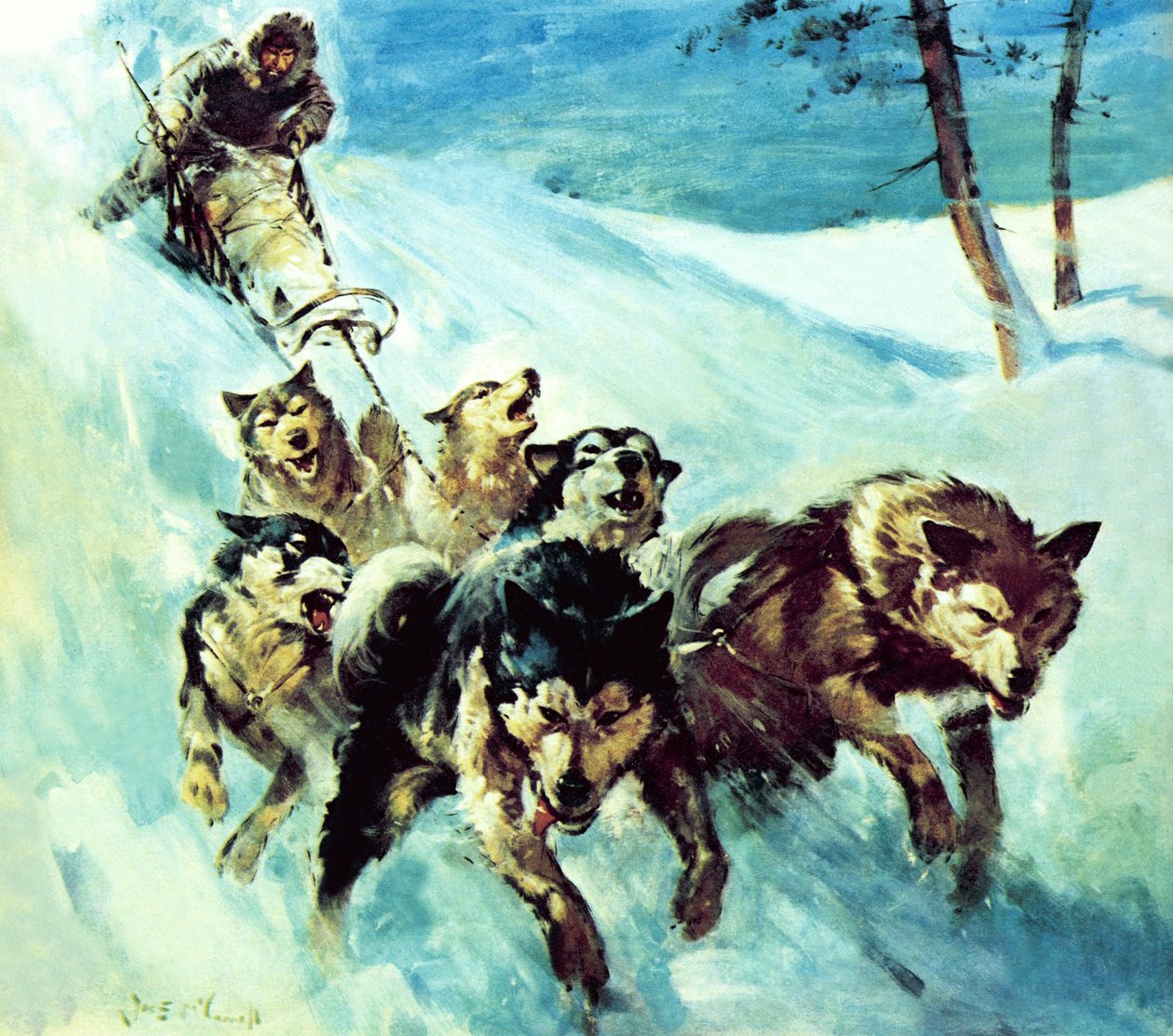 Kanadan husky tekijältä James Edwin McConnell