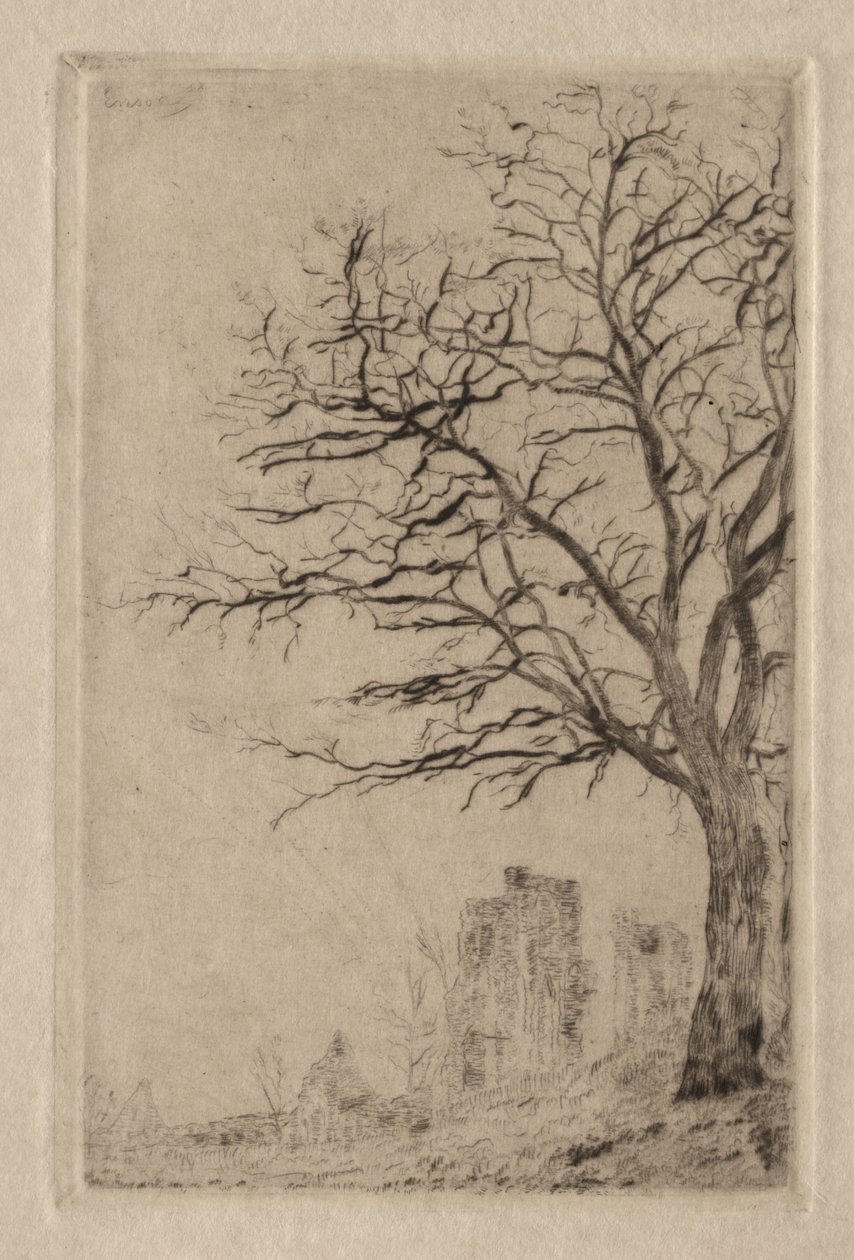 Akasia tekijältä James Ensor
