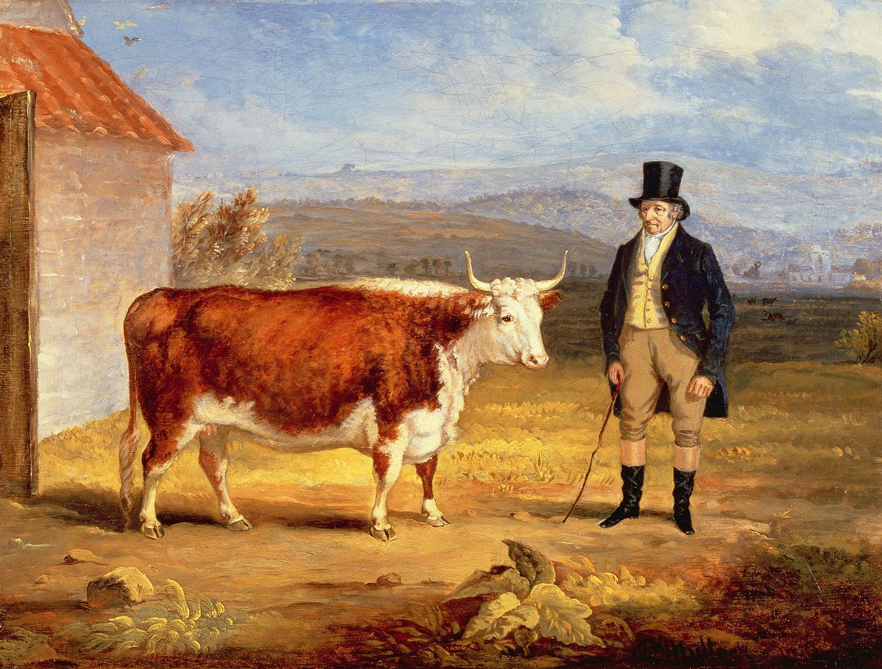 Herra James Hodges ja hänen kaksivuotias Hereford-hiehonsa, n. 1843 tekijältä James Flewitt Mullock