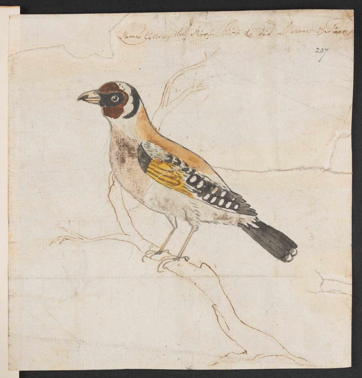 Lintujen poikanen, c. 1757-1815 (akvarelli ja tussi) tekijältä James Gillray