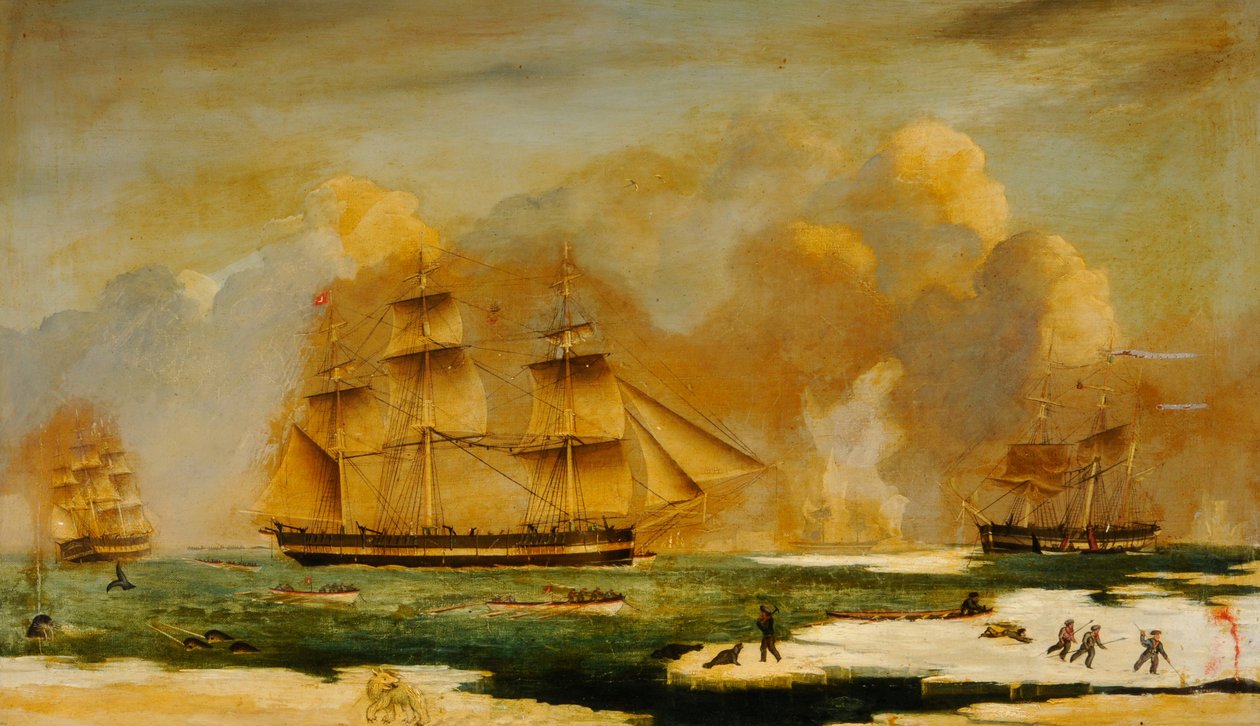 Runko Whaler Abram tekijältä James H. Wheldon