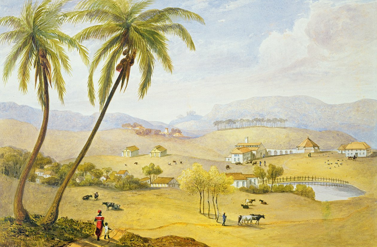 Haughton Court, Hannover, Jamaika, noin 1820 tekijältä James Hakewill