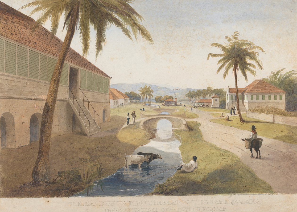 Holland Estate, St. Thomas in the East, Jamaika [yksi ] tekijältä James Hakewill