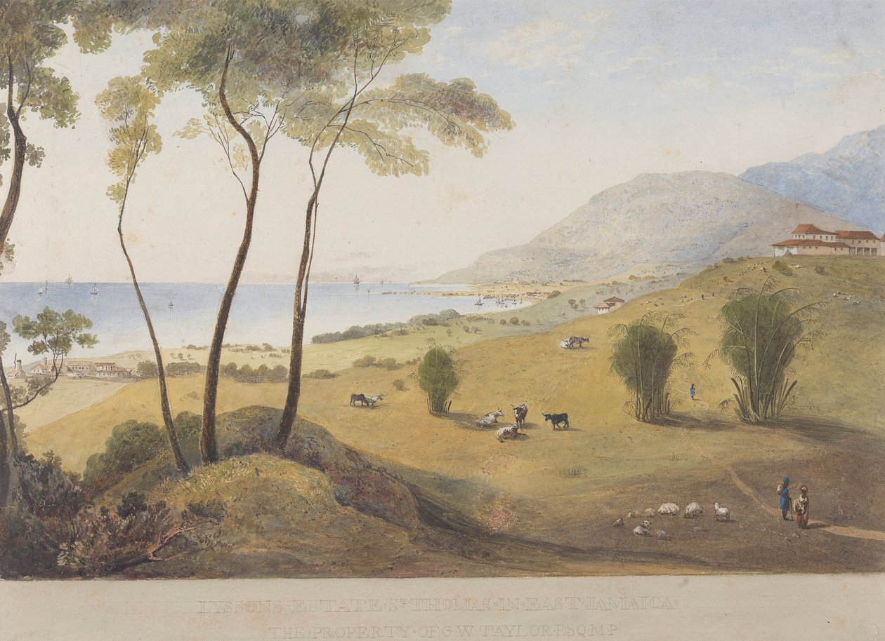 Lyssons Estate, St. Thomas in the East, Jamaika tekijältä James Hakewill