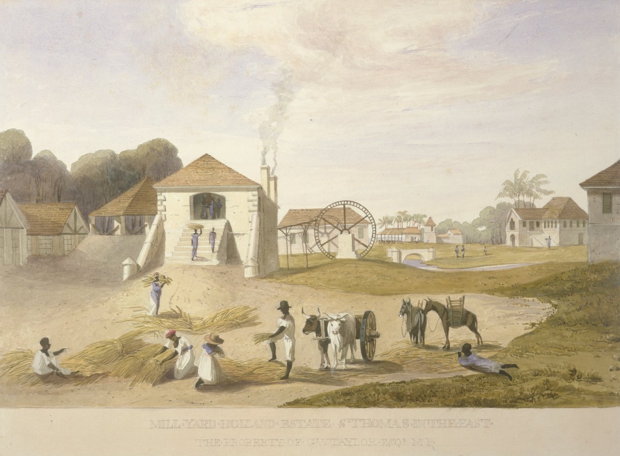 Mill Yard, Holland Estate, St. Thomas idässä tekijältä James Hakewill