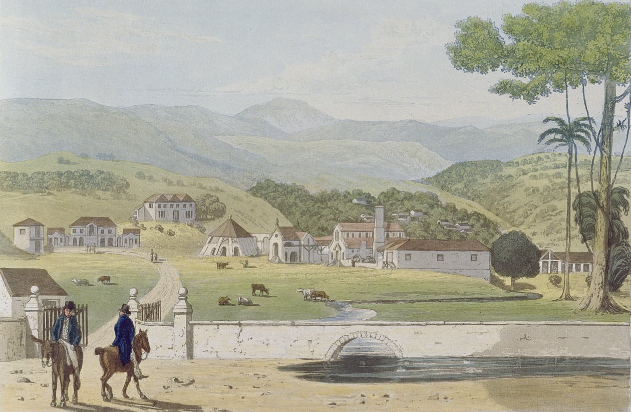Montpelier Estates, St James, kuvasta "Maaluksellinen kiertue Jamaikan saarella", kaivertanut Fielding, 1824 tekijältä James Hakewill