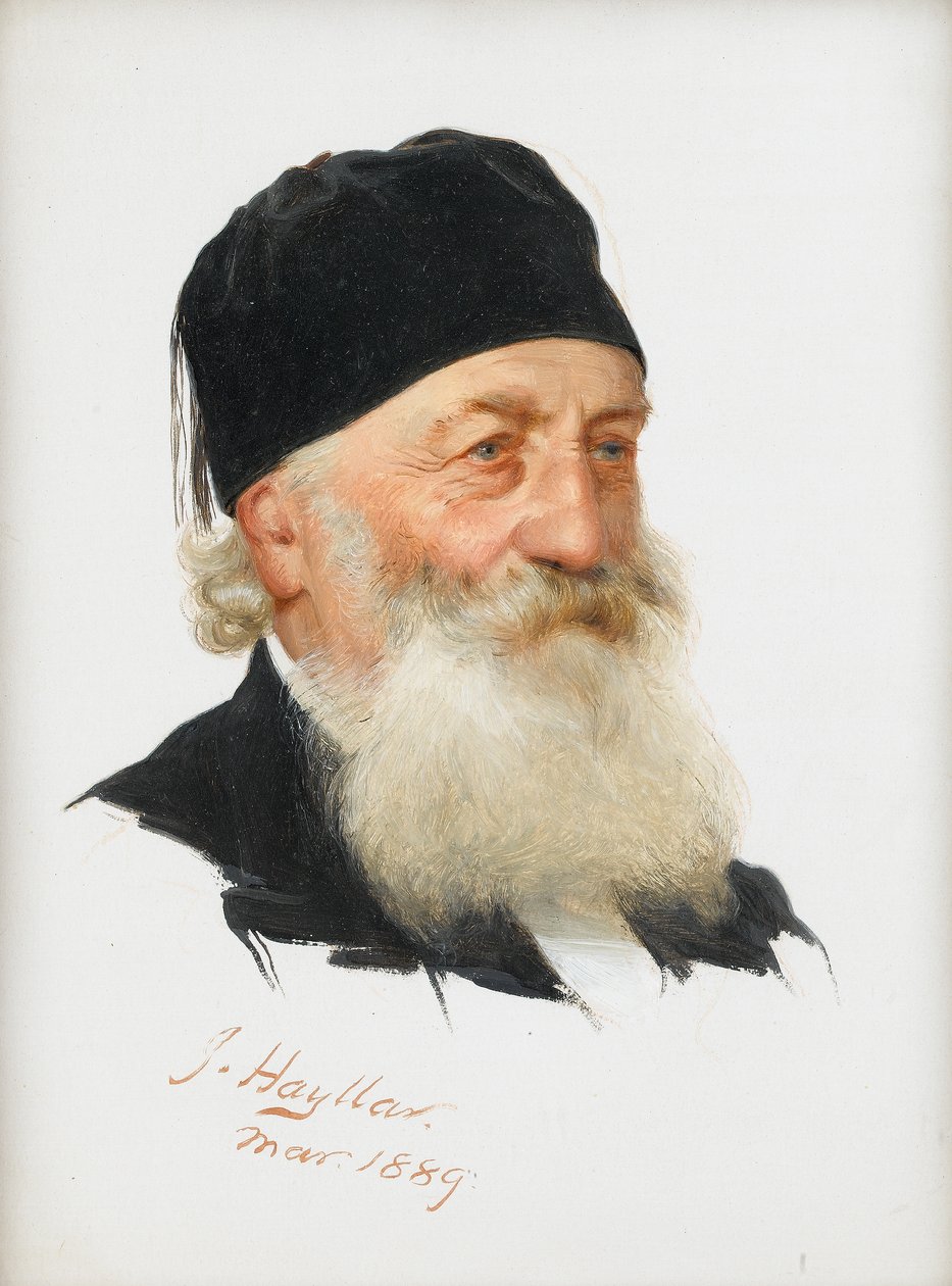 Tutkimus parrakkaasta herrasmiehestä, 1889 tekijältä James Hayllar