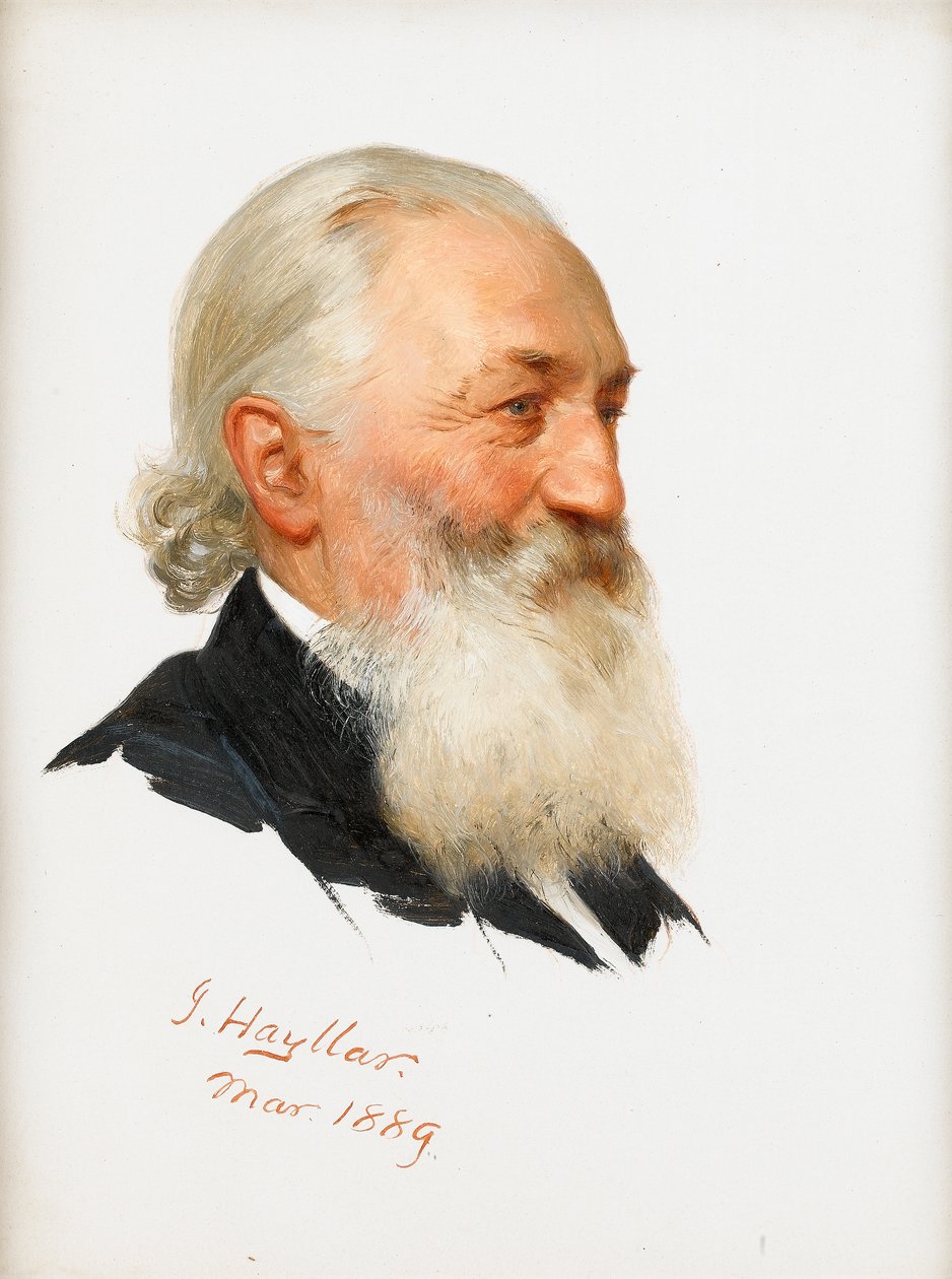 Tutkimus parrakkaasta herrasmiehestä, 1889 tekijältä James Hayllar