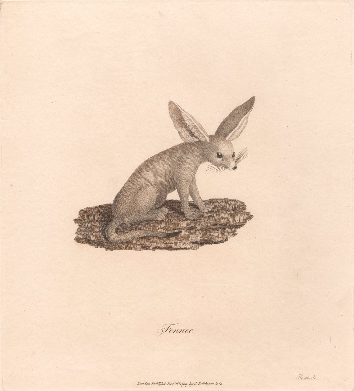 Fennec tekijältä James Heath