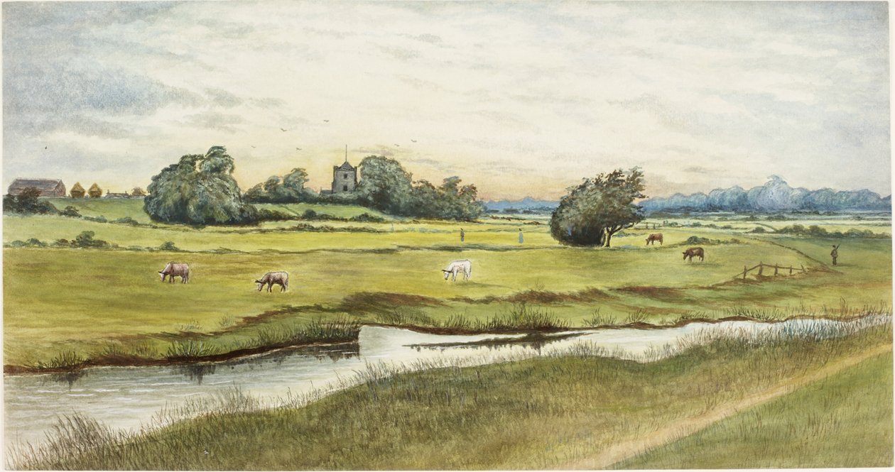 Ryton Meadows (akvarelli ja vartaloväri paperille) tekijältä James Henry Cleet
