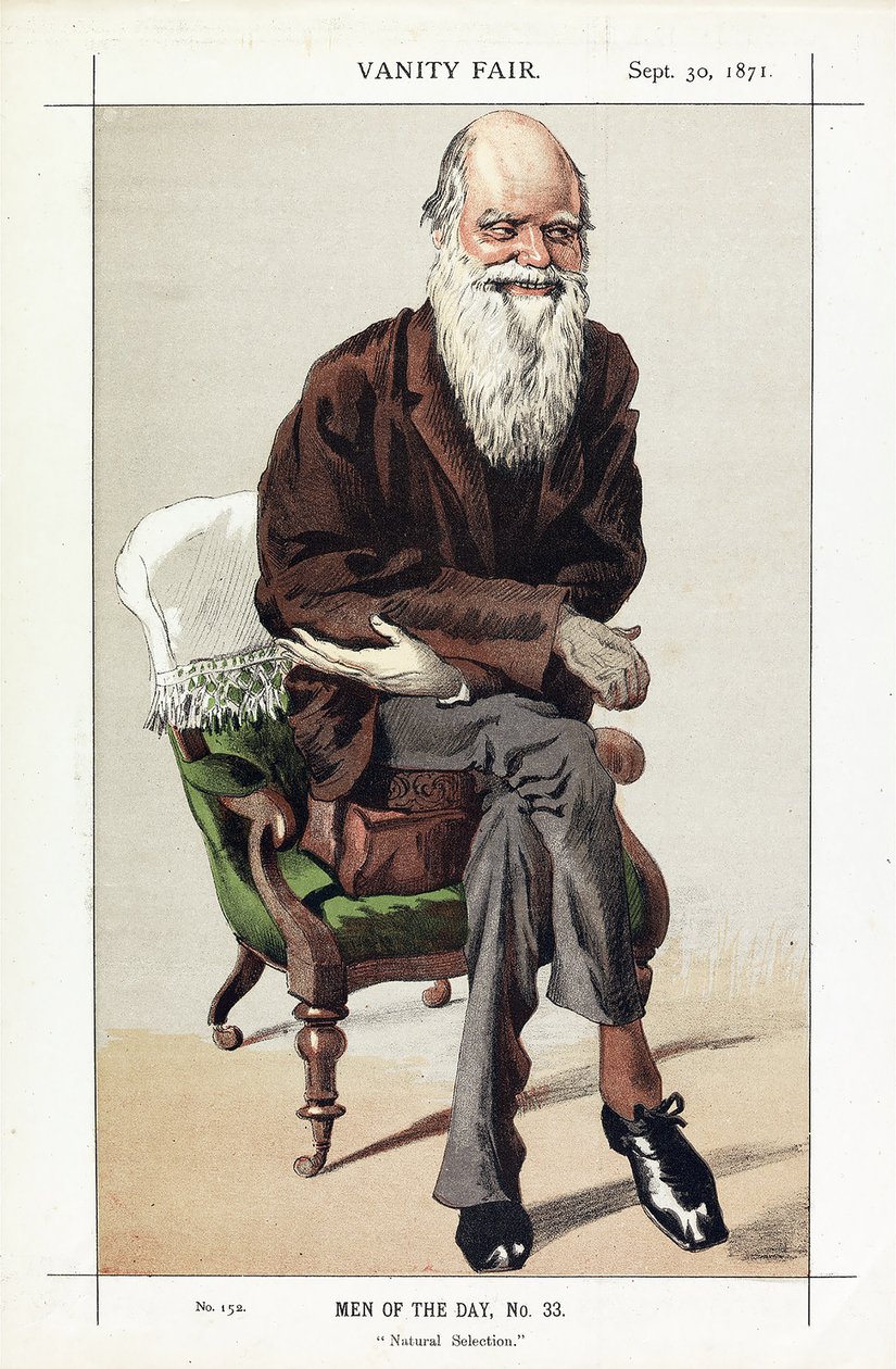 Charles Darwin, Men of the Day, nro 33, Luonnollinen valinta, Vanity Fair, pub. 1871 tekijältä James Jacques Joseph Tissot