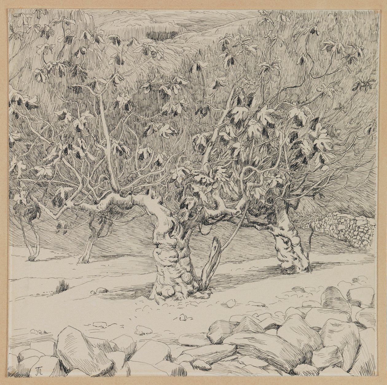 Viikunapuu, Hinnomin laakso, kuva Herramme Jeesuksen Kristuksen elämästä (muste paperille) tekijältä James Jacques Joseph Tissot