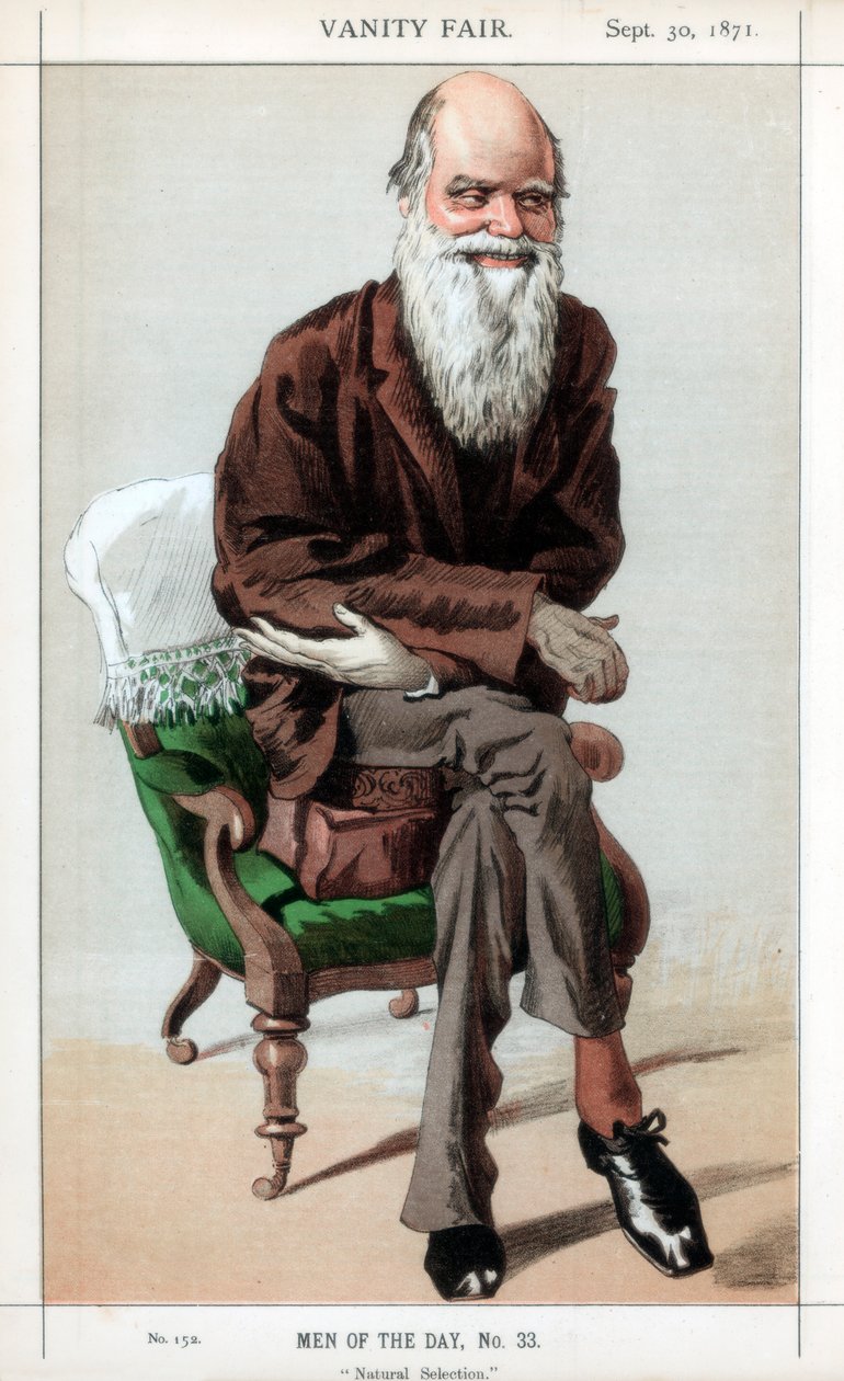 Luonnonvalinta, 1871. tekijältä James Jacques Joseph Tissot