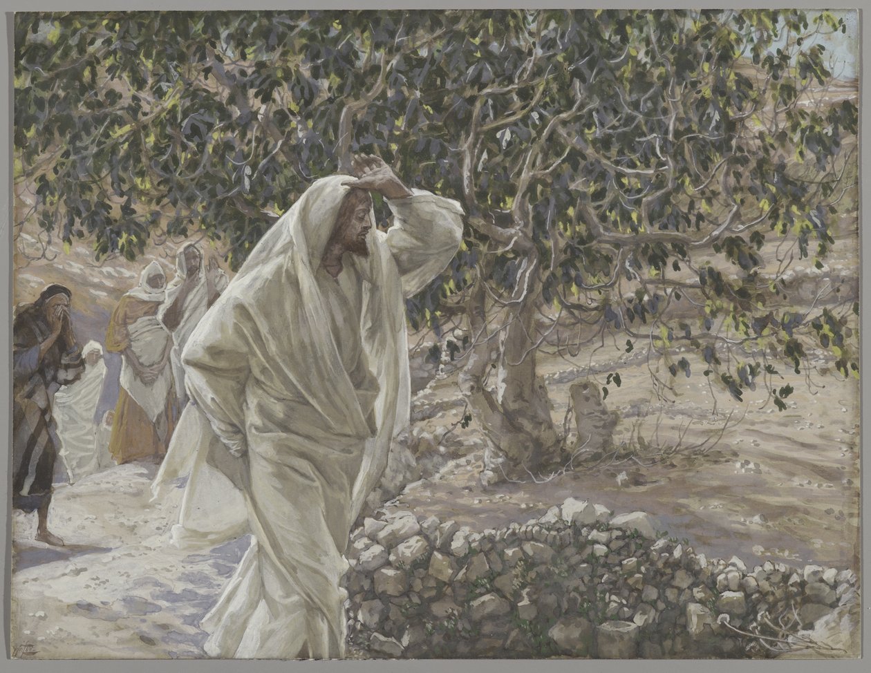 Kirottu viikunapuu, kuva Herramme Jeesuksen Kristuksen elämästä, 1886-94 (wc grafiitin päällä paperilla) tekijältä James Jacques Joseph Tissot