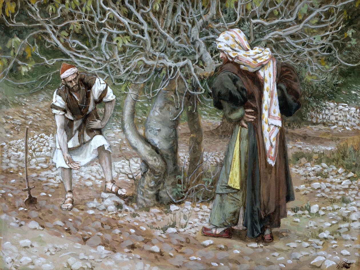 Karu viikunapuu, kuvitus teokseen The Life of Christ, n. 1886-1894 (wc ja guassi pahville) tekijältä James Jacques Joseph Tissot