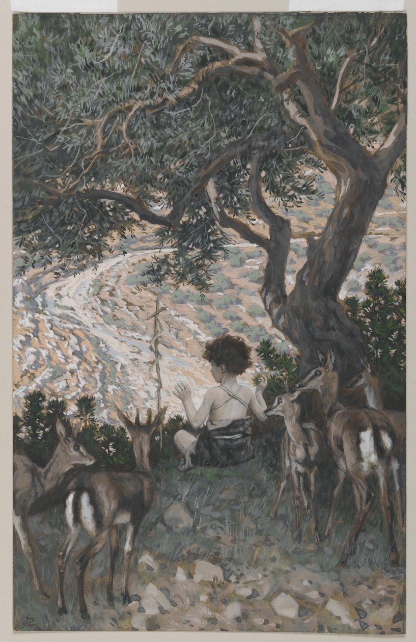 Pyhän Johannes Kastajan lapsuus, kuva Herramme Jeesuksen Kristuksen elämästä (wc grafiitin päällä paperilla) tekijältä James Jacques Joseph Tissot