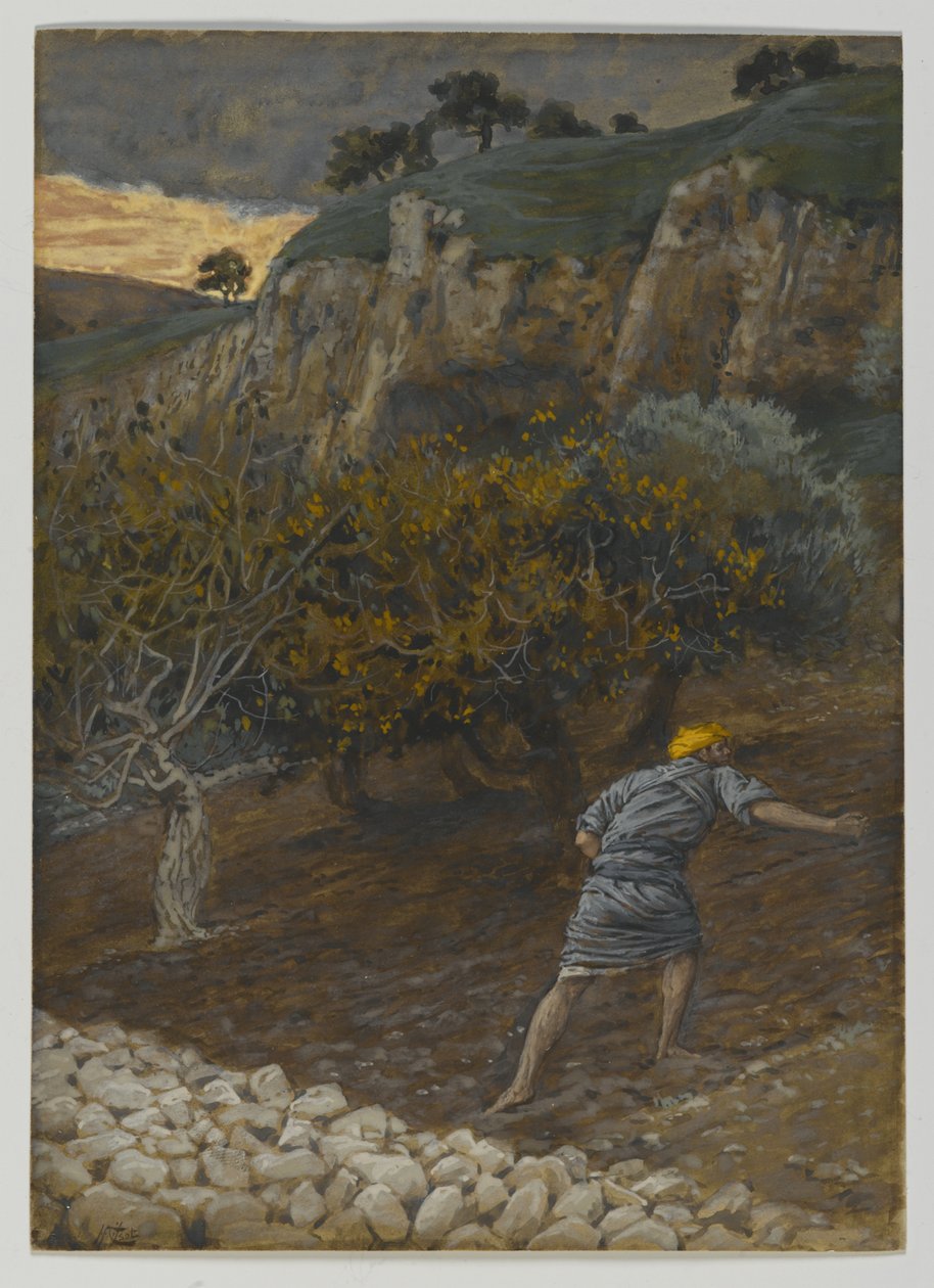 Vihollinen, joka kylvää, esimerkki teoksesta Herramme Jeesuksen Kristuksen elämä (wc grafiitin päällä paperilla) tekijältä James Jacques Joseph Tissot