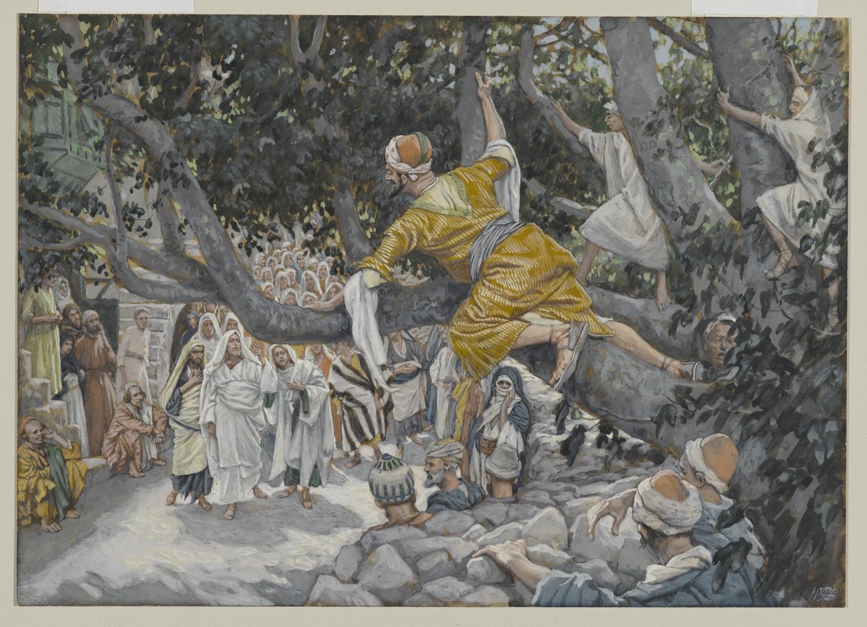 Sakkeus sycamoressa odottamassa Jeesuksen kulkua, kuva Herramme Jeesuksen Kristuksen elämästä, 1886-96 (wc grafiitin päällä paperilla) tekijältä James Jacques Joseph Tissot