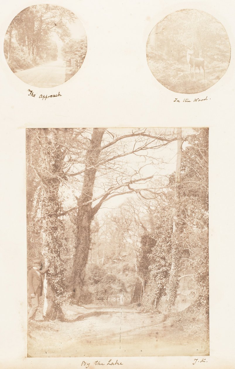 Lähestymistapa, Metsässä, Järven rannalla, 1853-56. tekijältä James Knight