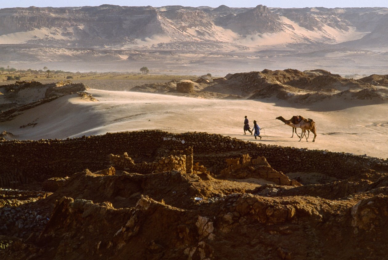 Kameli ja suolakaravaanin jäsenet ylittävät aavikkotasangon BILMAssa, NIGERISSÄ. BILMA, NIGER. tekijältä James L Stanfield