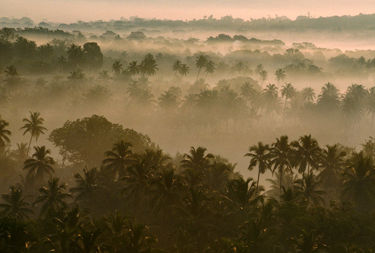 Aamuinen sumu peittää vanhan Goan maiseman auringonnousun aikaan. VANHA GOA, GOA, INDIA. tekijältä James L Stanfield