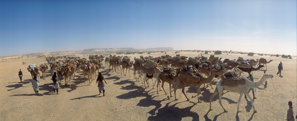 Panoraama suolakamelikaravaanista Fachin ulkopuolella. FACHIN LÄHELLÄ, NIGER. tekijältä James L Stanfield