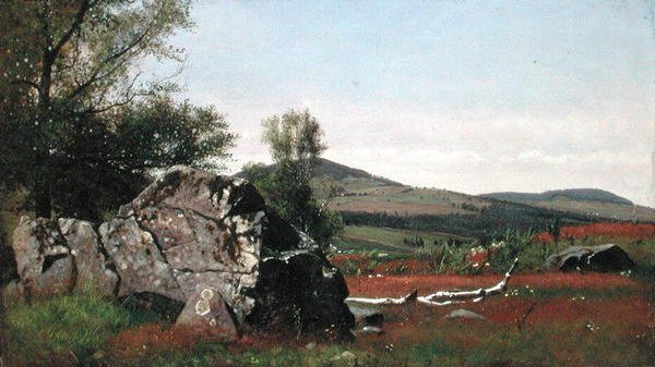 Kesä Catskillsissä (öljy kankaalle) tekijältä James McDougal Hart