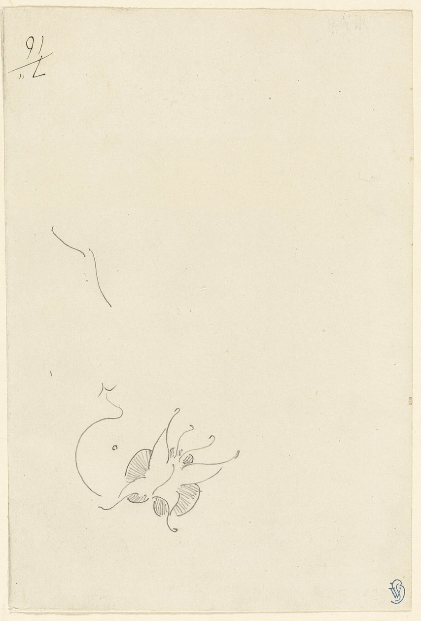 Perhonen tekijältä James Abbott McNeill Whistler