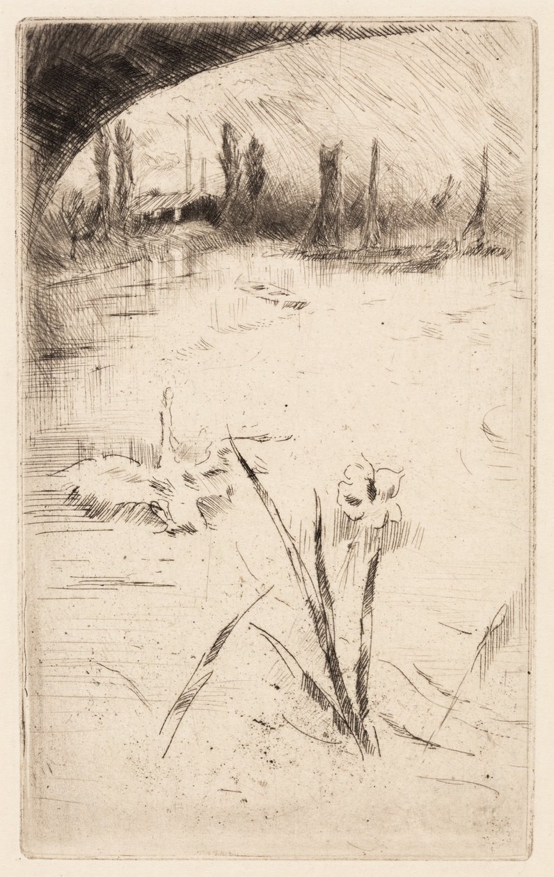 Luonnos Cecil Lawsonin "Joutsen ja iiris" -teoksen mukaan. tekijältä James McNeill Whistler