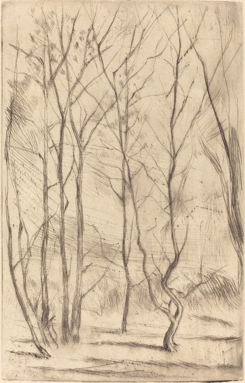 Dam Wood tekijältä James Abbott McNeill Whistler