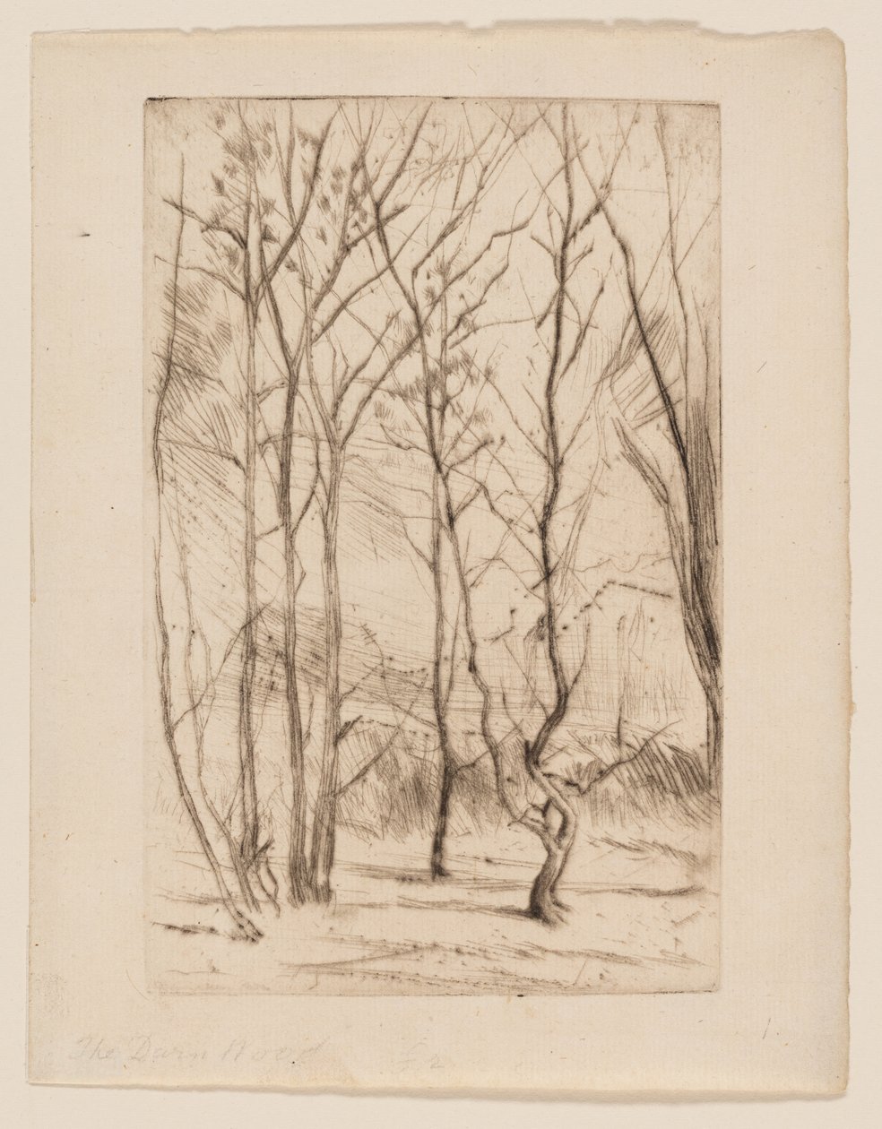 Dam Wood tekijältä James Abbott McNeill Whistler