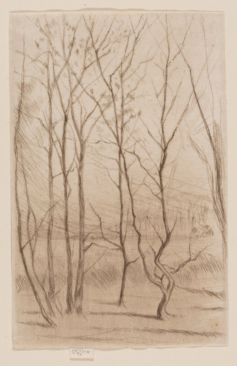 Dam Wood tekijältä James Abbott McNeill Whistler