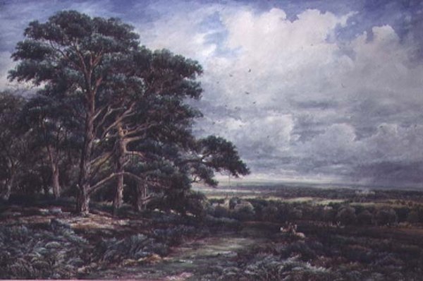Bradgate Park lähellä Leicesteriä, akvarelli tekijältä James Orrock