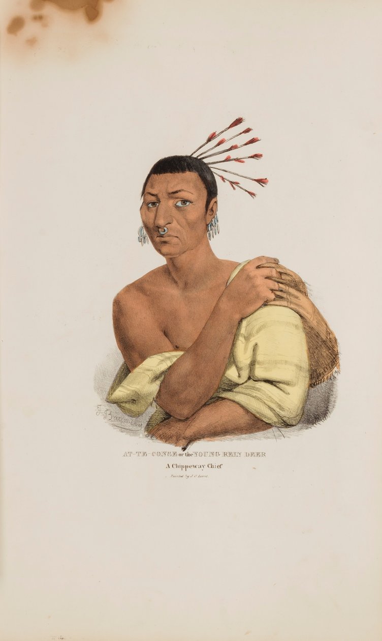 AT-TE-CONSE tai nuori Rein Deer; A Chippeway Chief, Aboriginaalien portfoliosta. tekijältä James Otto Lewis