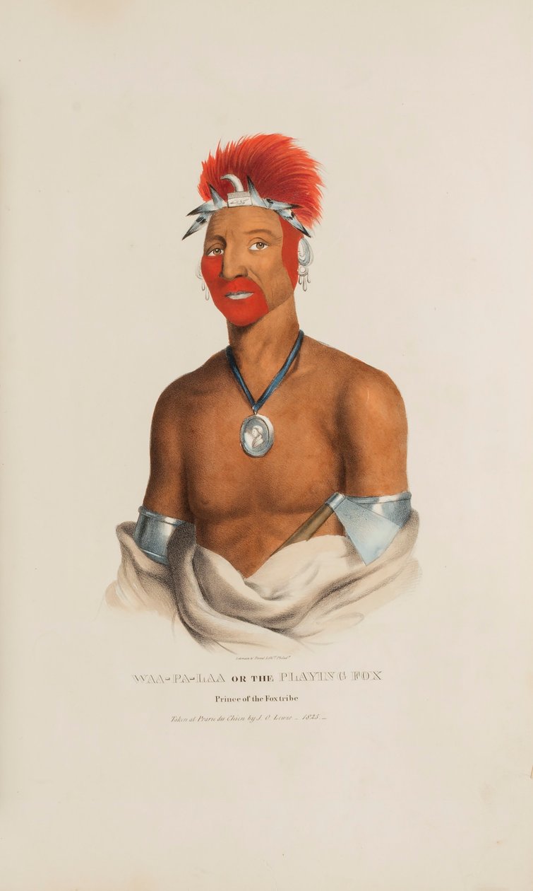 WAA-PA-LAA eli Leikkivä kettu; Kettuheimon prinssi, Aboriginaalien salkusta. tekijältä James Otto Lewis