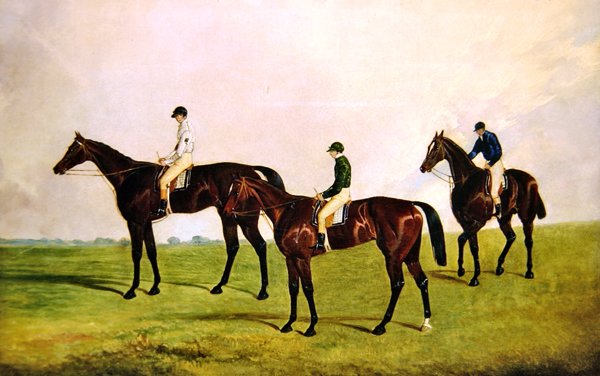 Racehorses Jockeys Up (öljy kankaalle) tekijältä James Pollard