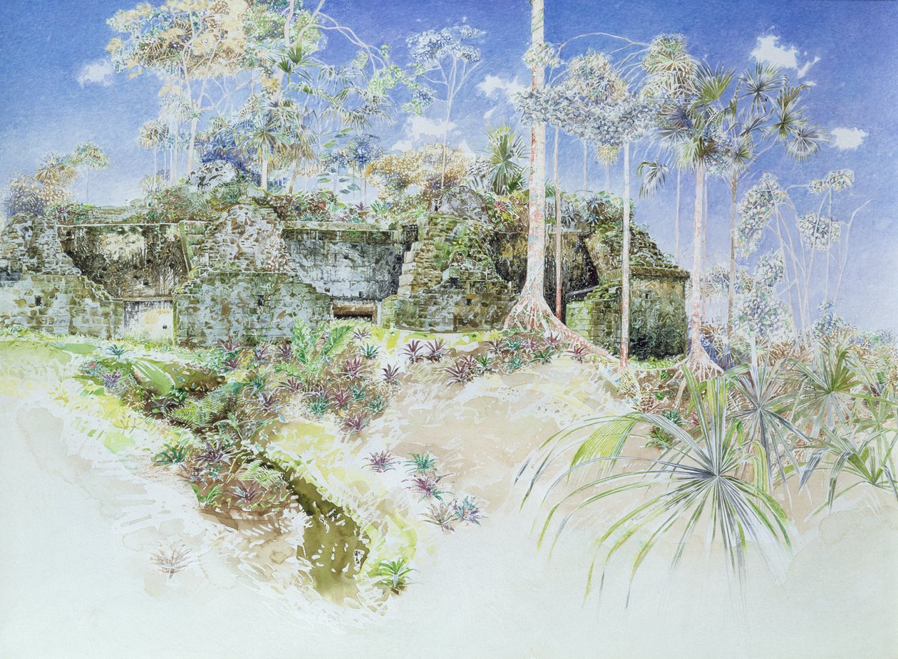 Ruined Temple, Tikal, Guatemala, 1984 (wc paperilla) tekijältä James Reeve
