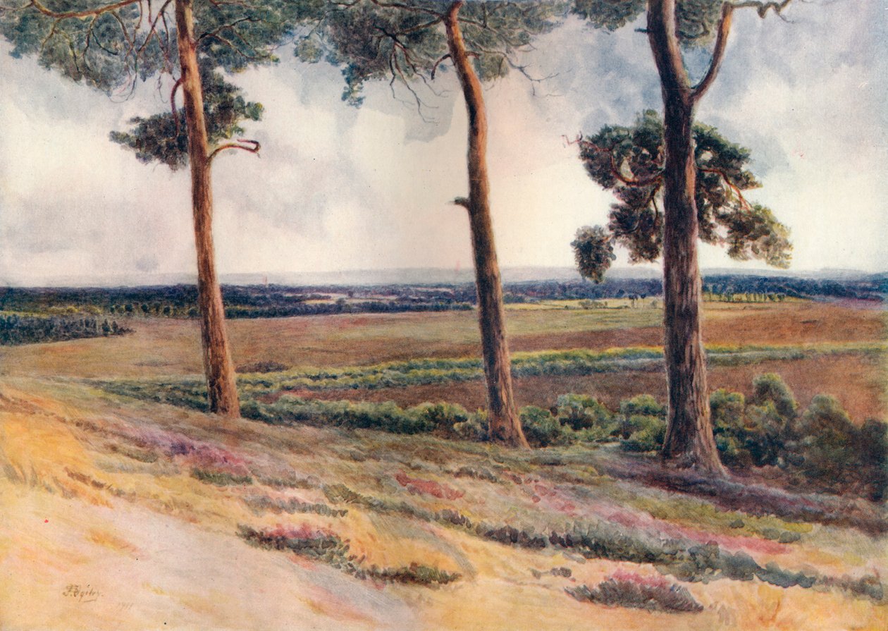 "Näkymä Staple Hilliltä", 1911, 1914 tekijältä James S Ogilvy