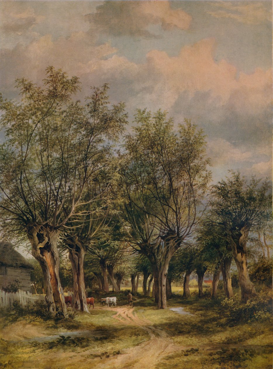 Lane lähellä Norwichia, c1837 tekijältä James Stark