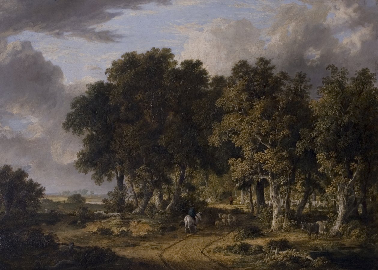 Näkymä uudessa metsässä, 1800-luvun puoliväli tekijältä James Stark