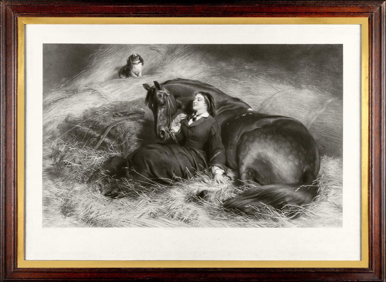 Taming the Shrew (tunnetaan myös nimellä "The Pretty Horsebreaker") (mezzotint) tekijältä James Stephenson