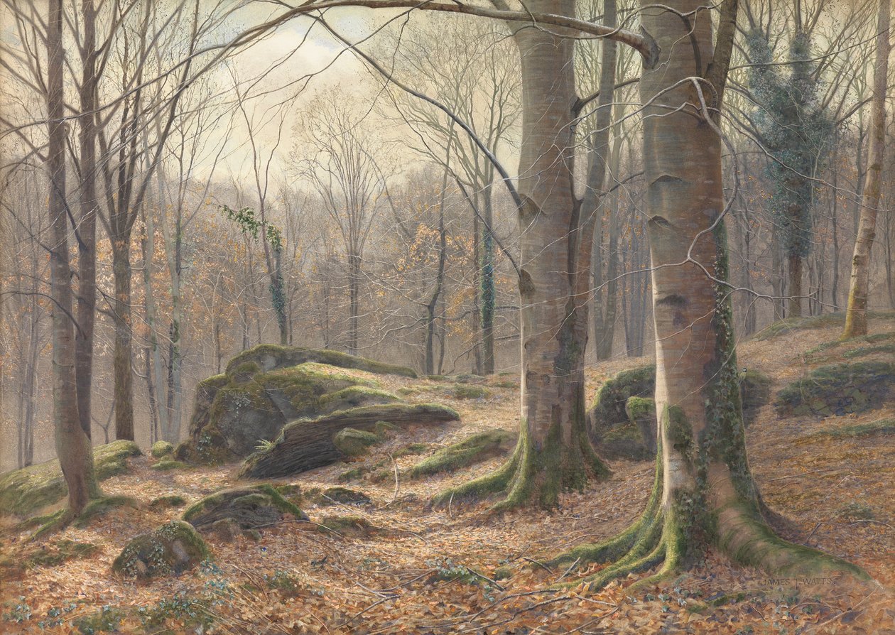 Talviaamu, huurteen sulaminen, 1885-1894 tekijältä James Thomas Watts