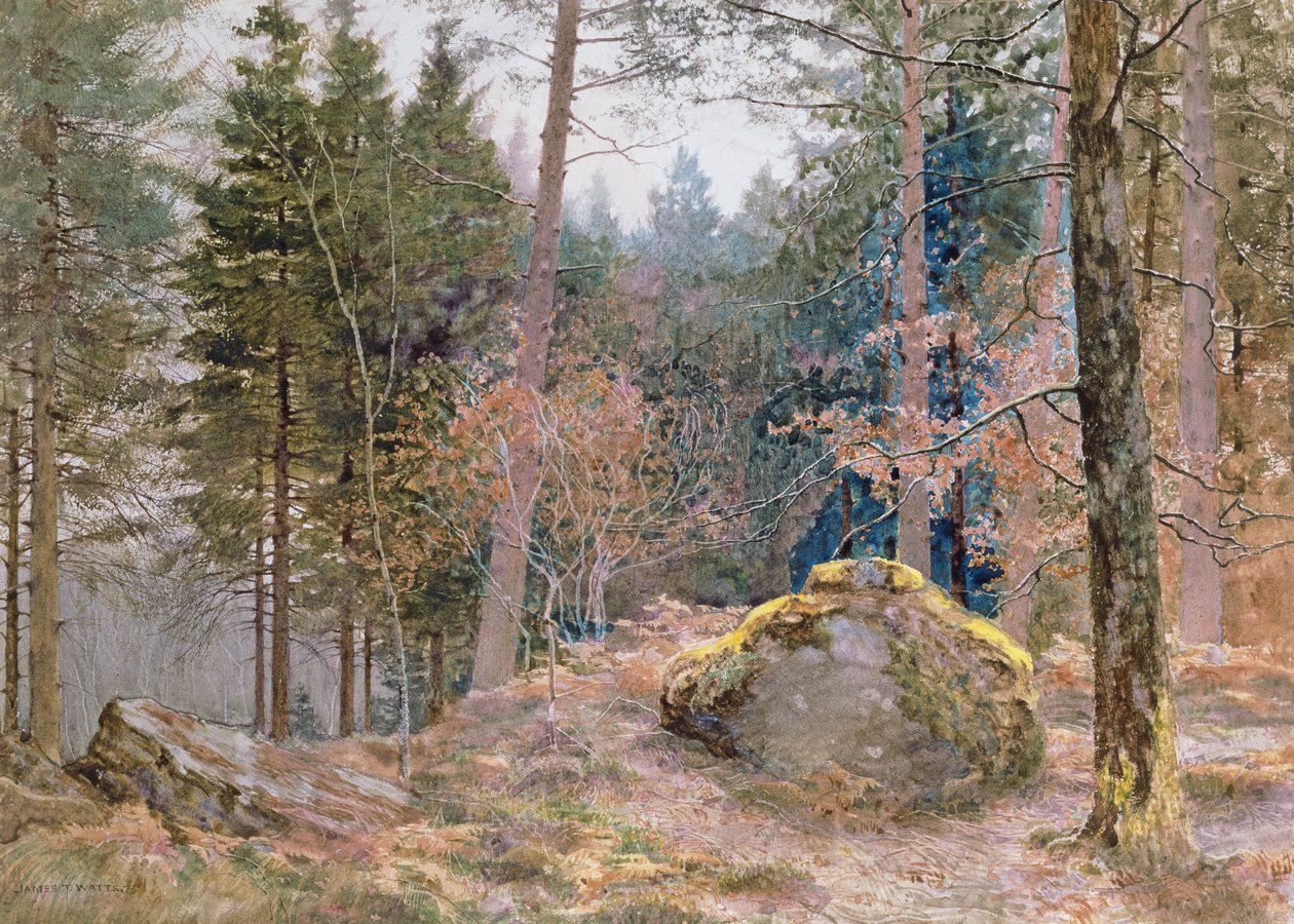 Huonekalut ja erilaiset esineet 1100- ja 1300-luvuilta tekijältä James Thomas Watts