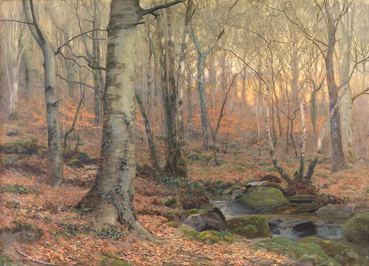 Russet ja harmaa: Walesin pyökki (w/c) tekijältä James Thomas Watts