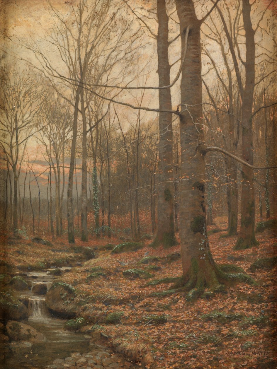 Talvi metsässä, Betws-y-Coed (akvarelli ja vartaloväri) tekijältä James Thomas Watts