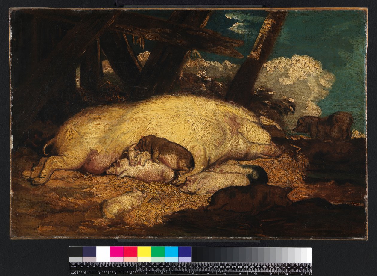 Siat, ei ennen vuotta 1793 tekijältä James Ward