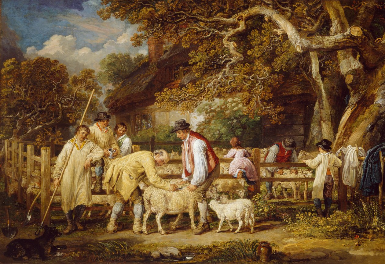 Sheep Salving, 1828 tekijältä James Ward