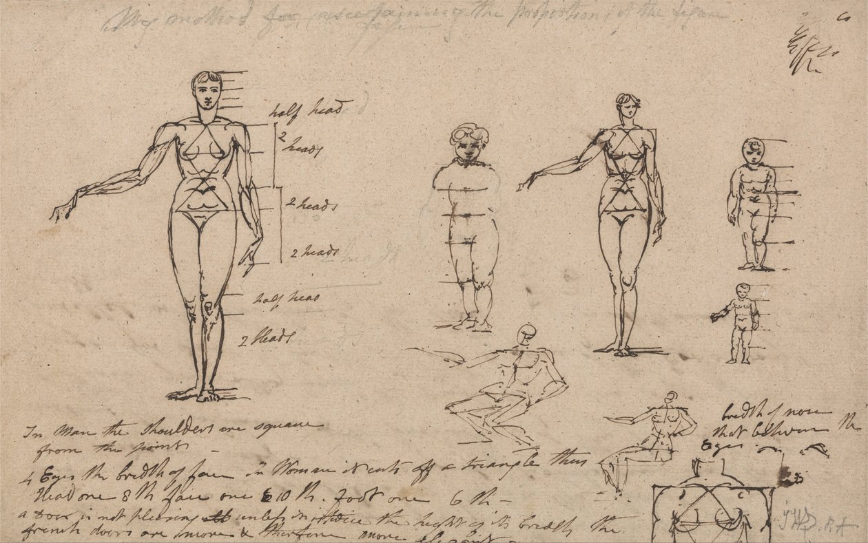 Anatomian, mittausten ja kirjoittamisen opinnot tekijältä James Ward